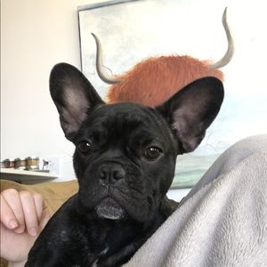 Meet your Posher, Alicia